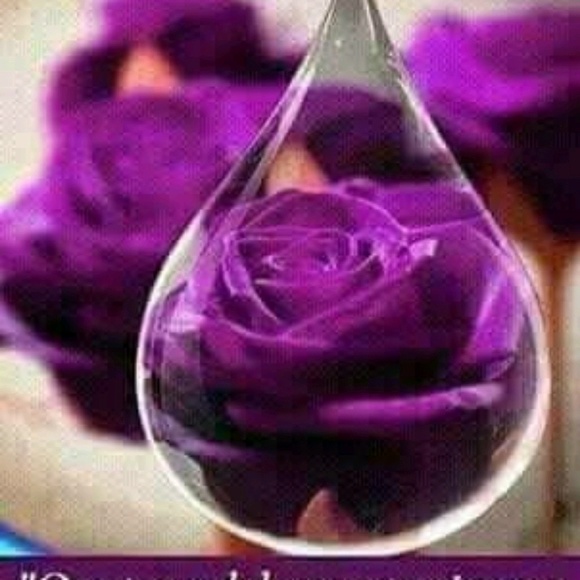 Meet your Posher, Lety - Picture 1 of 1